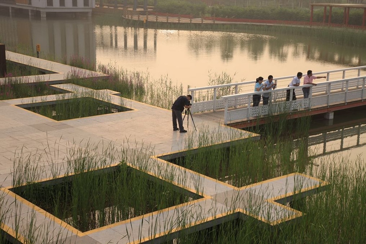 Благоустройство в озерах. Tianjin Qiaoyuan Park. Turenscape болотный парк. Tianjin Qiaoyuan Park, Turenscape. Китай Turenscape.